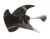Rotor De Ventilador ,adaptable paraTFC338NFI 4136000000