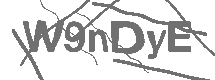 CAPTCHA Image