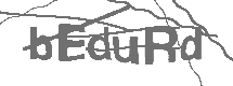 CAPTCHA Image