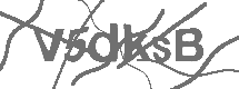 CAPTCHA Image