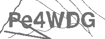CAPTCHA Image