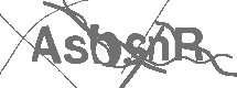 CAPTCHA Image