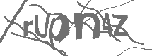 CAPTCHA Image