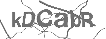 CAPTCHA Image