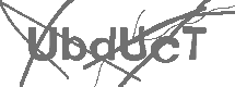 CAPTCHA Image