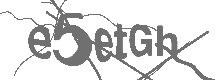 CAPTCHA Image