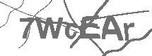 CAPTCHA Image