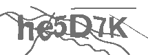 CAPTCHA Image