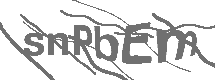 CAPTCHA Image