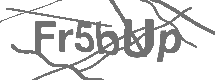 CAPTCHA Image
