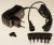 Alimentacion Con Corriente    ,adaptable paraF370VOICEDUO 3121700000