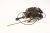 Motor ,adaptable paraMB750G59350 4150000000
