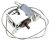 NWPF6K-080 4055088837 TERMOSTATO