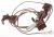 Interruptor De Aparato ,adaptable paraPL401ASTF 4300900000