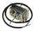 EA27 07.340.50C 91943681 MOTOVENTILADOR