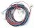 C00093717 482000077981 Cableado EVA - MV - NTCAS 240000700F0