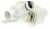 Bombas De Desague ,adaptable paraWF701A 4131000000