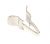 Pinza De Fijacion    ,adaptable paraABX501X1 5408000000