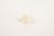 300003144151 SW engranaje de escobillas.PRT