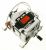 2841530200 C00902095 TONLON Motor