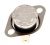 Limitador Temperatura ,adaptable paraOS5GM251EB 4826000000