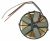 11016547 BOBINA INDUCCIÓN INDUCTOR 150 MPX