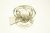 MS-651578 CORPS/ACCESSOIRE.CONFITURE