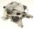 Motor    ,adaptable paraBWA71252WEU1 4150000000