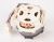 SPP0000754 MOT S80-25ANP6200SE RA 4V SER